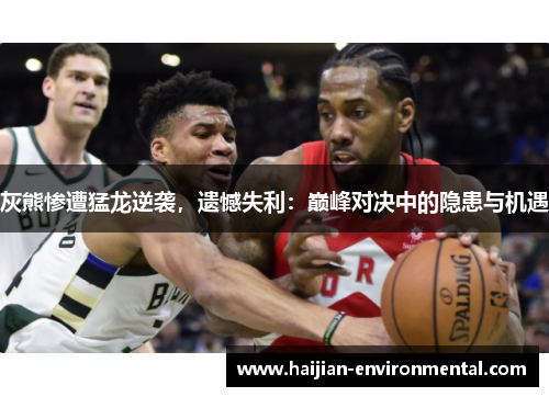 灰熊惨遭猛龙逆袭，遗憾失利：巅峰对决中的隐患与机遇