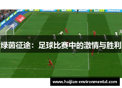 绿茵征途：足球比赛中的激情与胜利