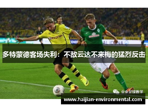 多特蒙德客场失利：不敌云达不来梅的猛烈反击
