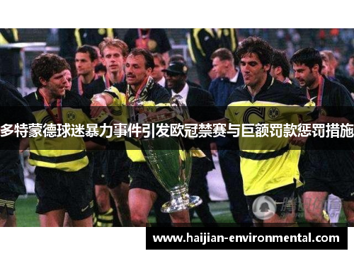 多特蒙德球迷暴力事件引发欧冠禁赛与巨额罚款惩罚措施