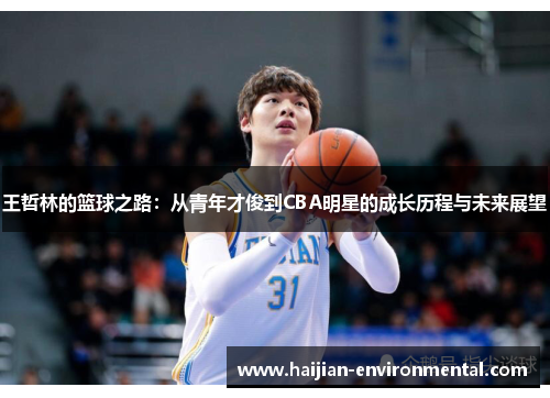 王哲林的篮球之路：从青年才俊到CBA明星的成长历程与未来展望